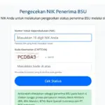 Cek BSU Rp900 Ribu bsu.kemnaker.go.id